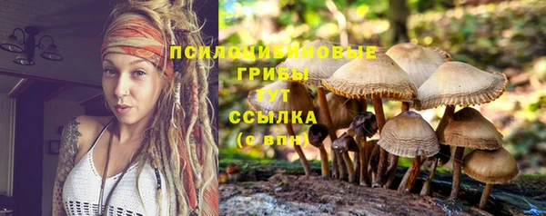 ALPHA PVP Балахна