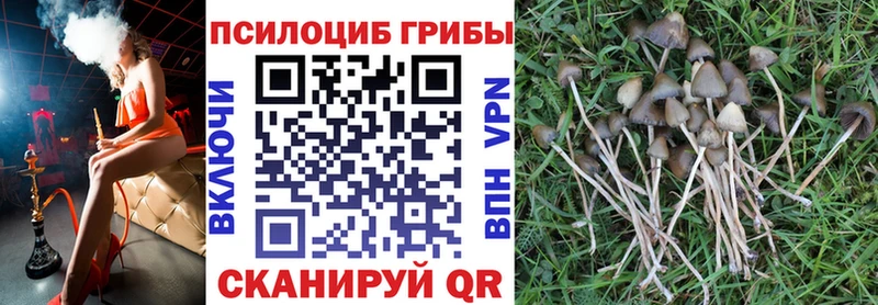 Псилоцибиновые грибы ЛСД Суровикино